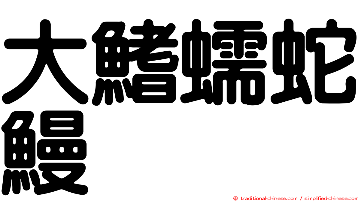 大鰭蠕蛇鰻