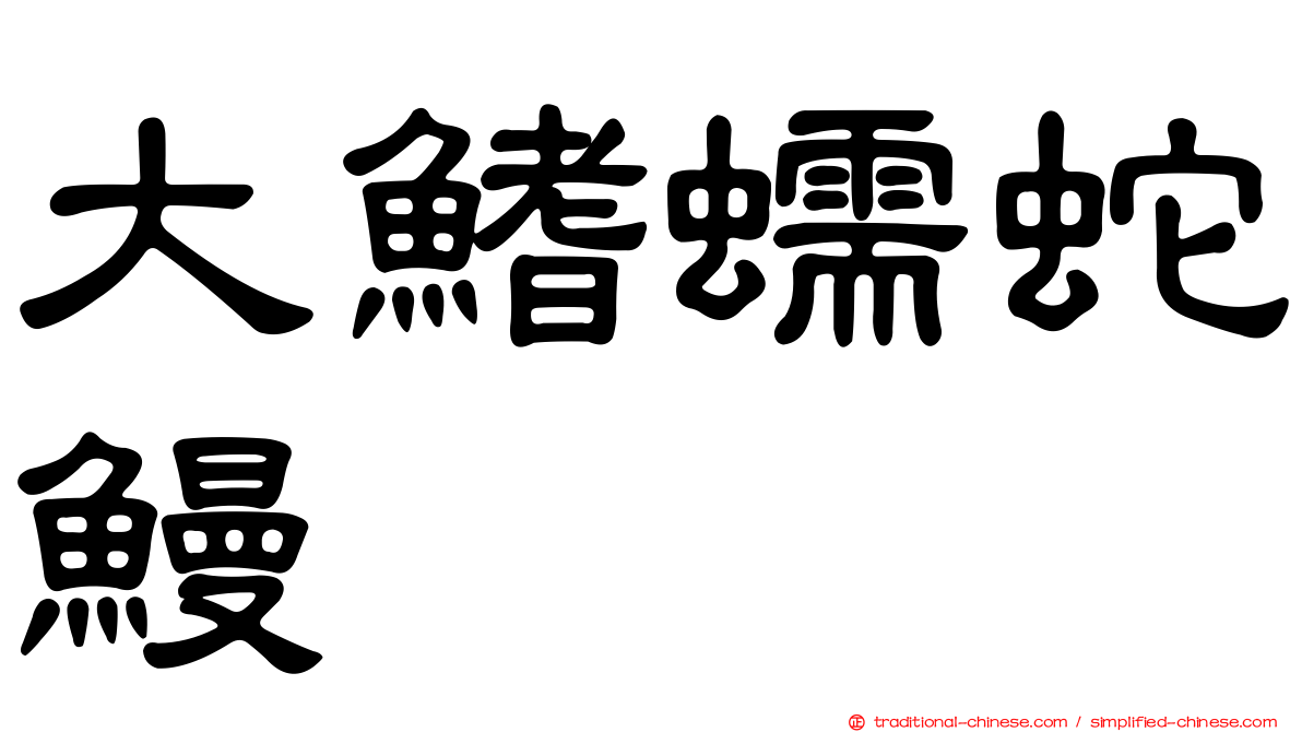 大鰭蠕蛇鰻