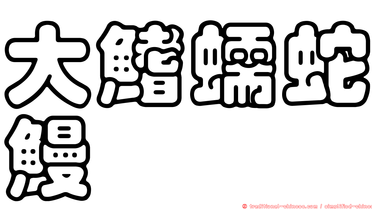 大鰭蠕蛇鰻