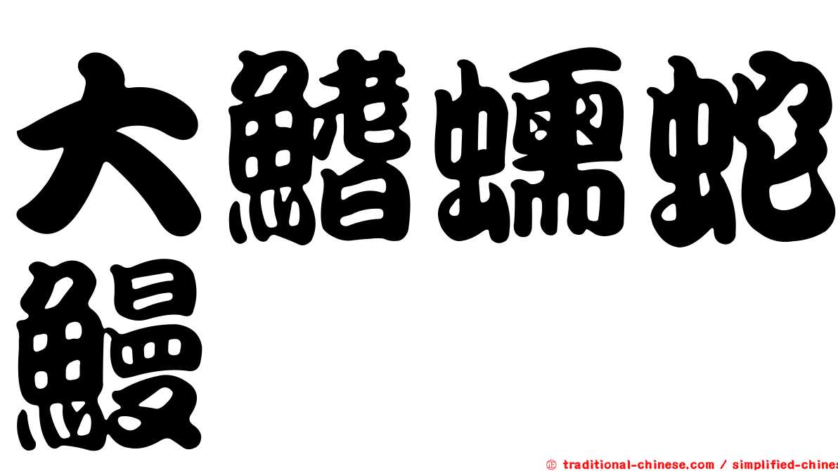大鰭蠕蛇鰻