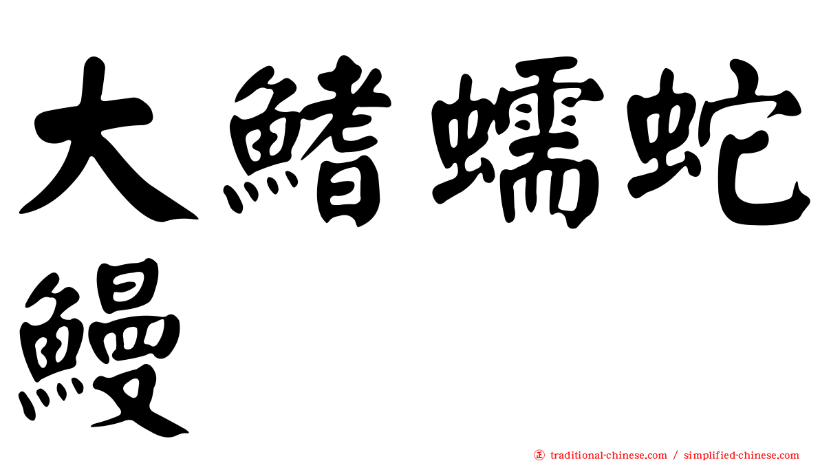 大鰭蠕蛇鰻