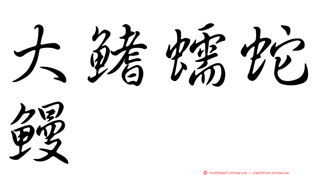 大鰭蠕蛇鰻