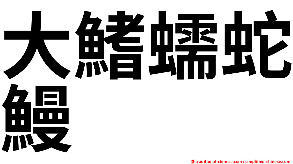 大鰭蠕蛇鰻