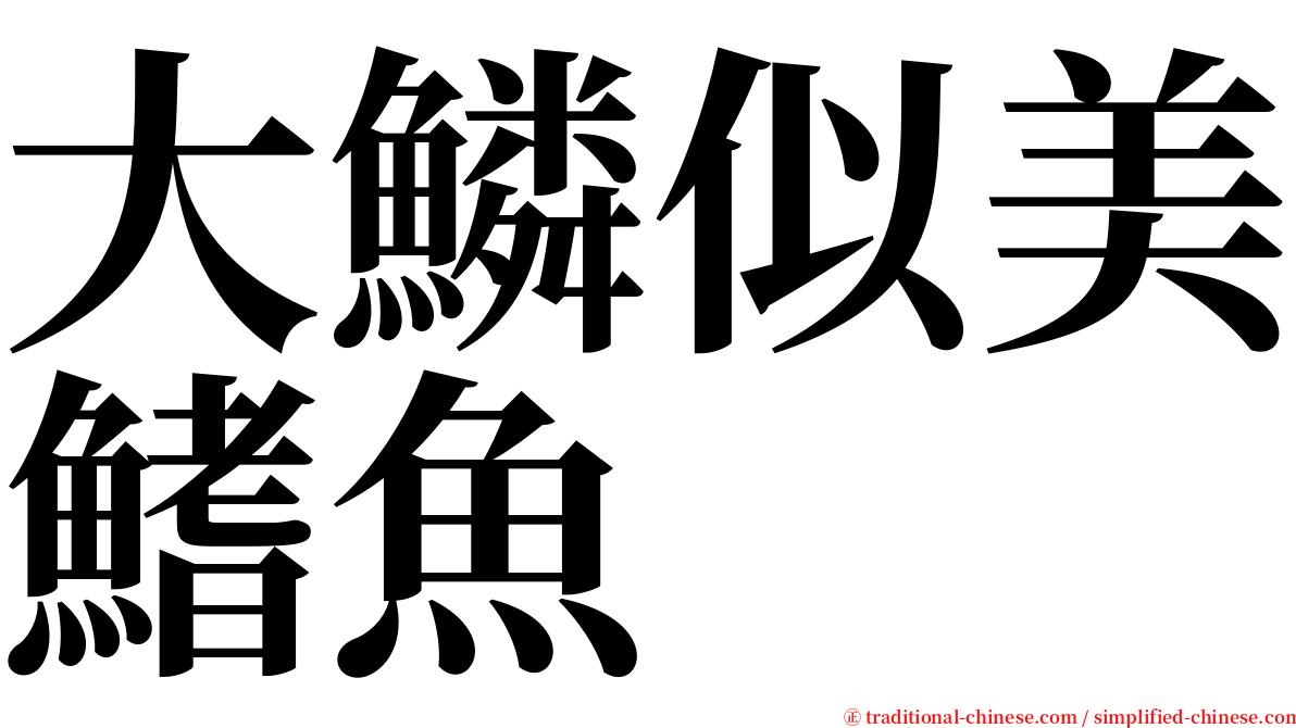 大鱗似美鰭魚 serif font