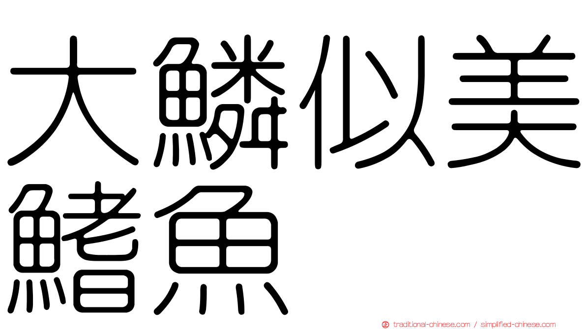 大鱗似美鰭魚