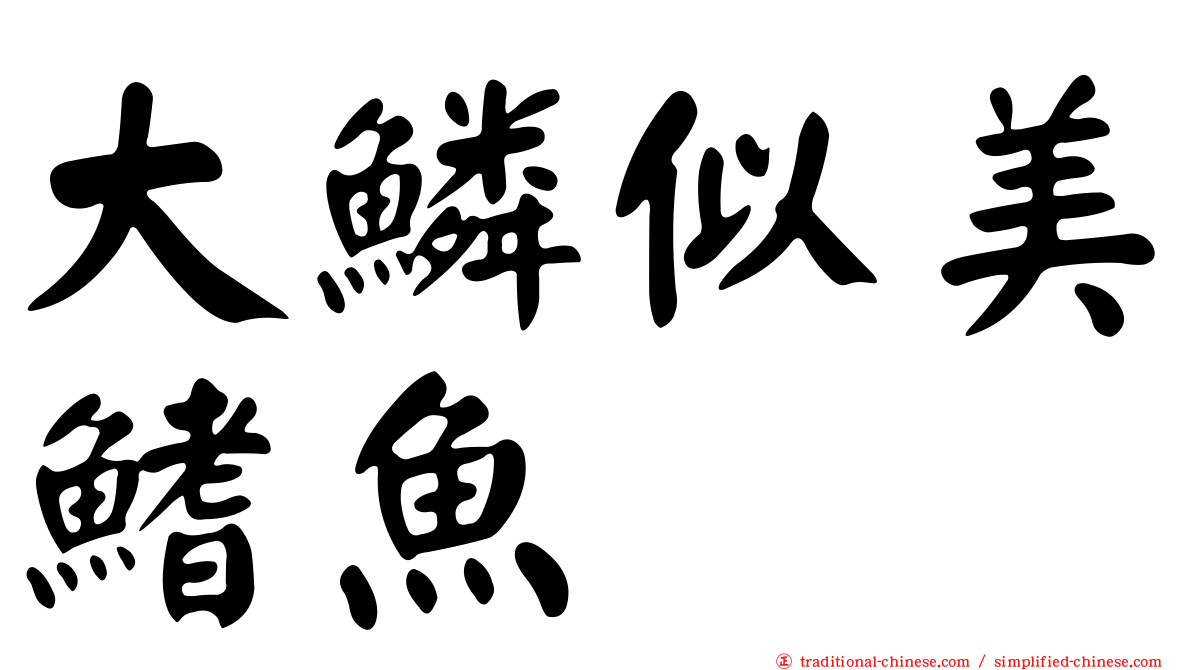 大鱗似美鰭魚