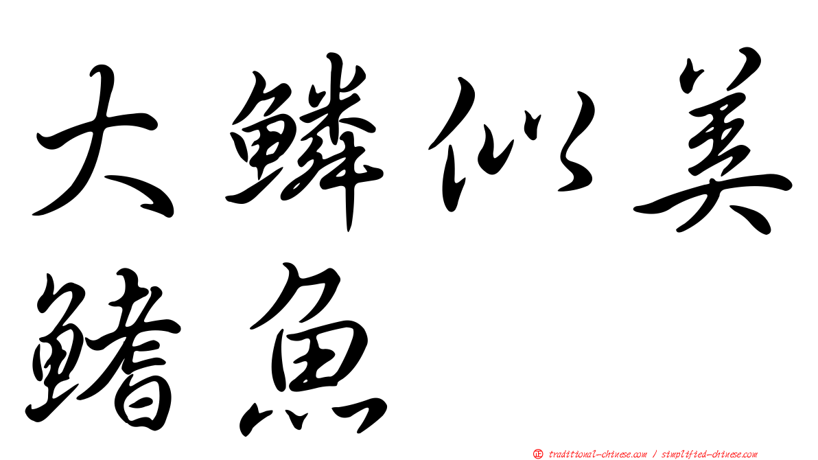 大鱗似美鰭魚