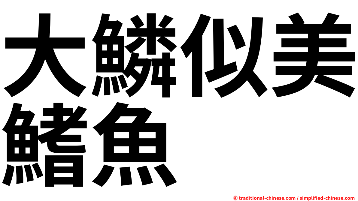 大鱗似美鰭魚