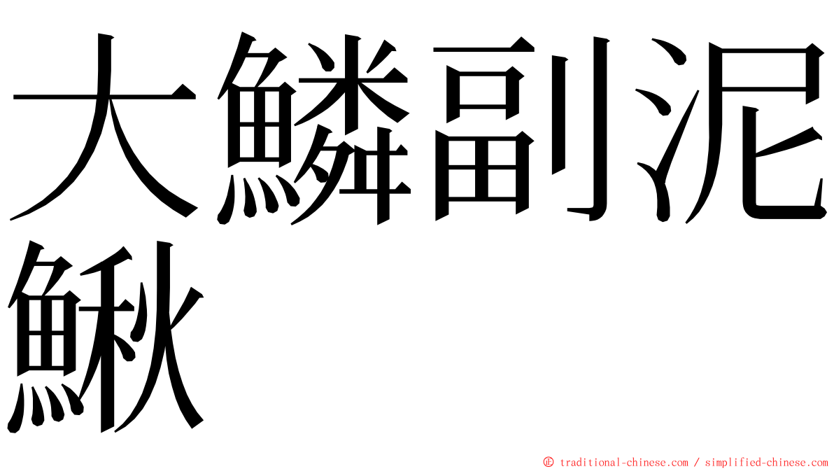 大鱗副泥鰍 ming font