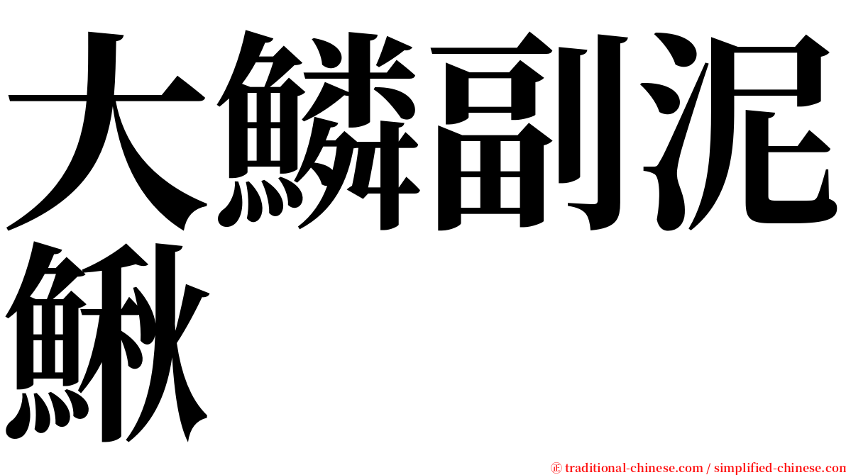 大鱗副泥鰍 serif font