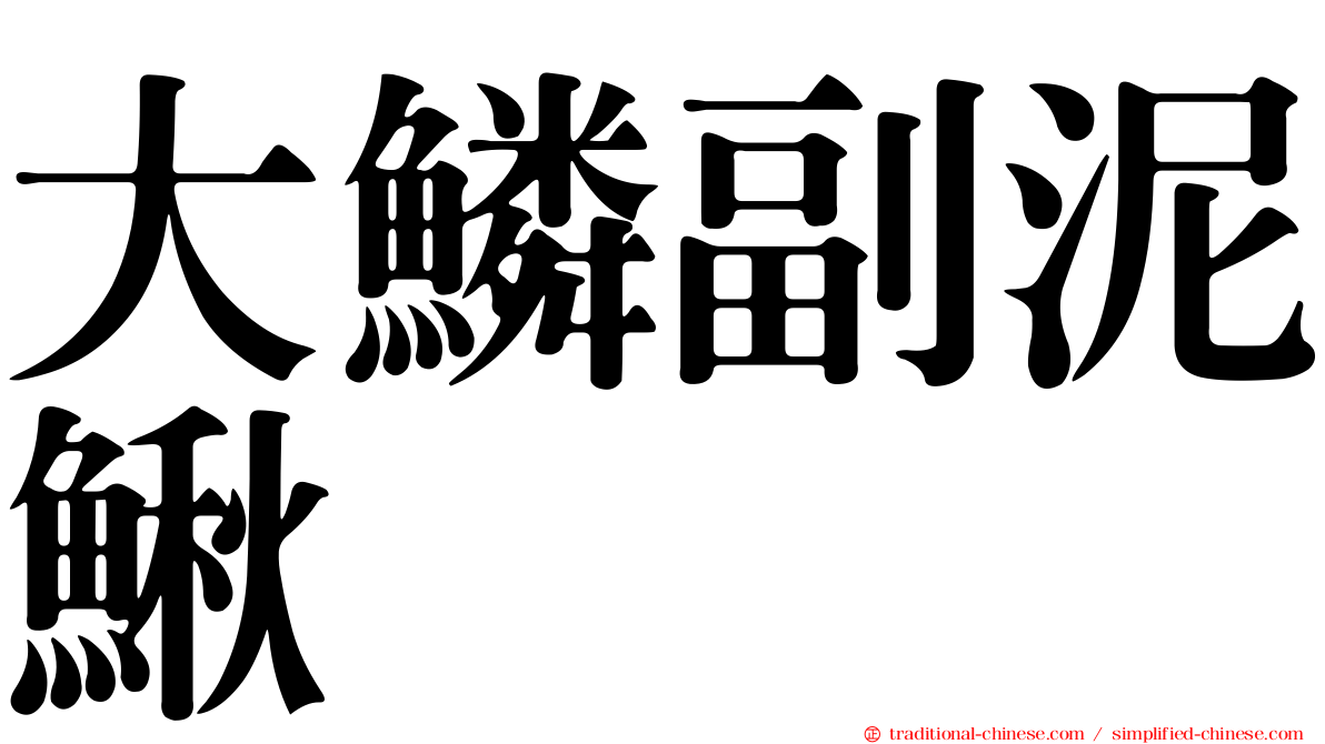 大鱗副泥鰍