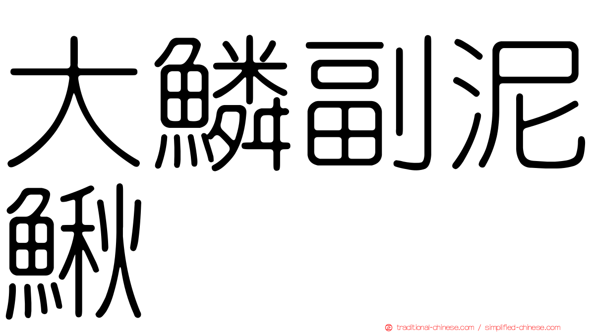 大鱗副泥鰍