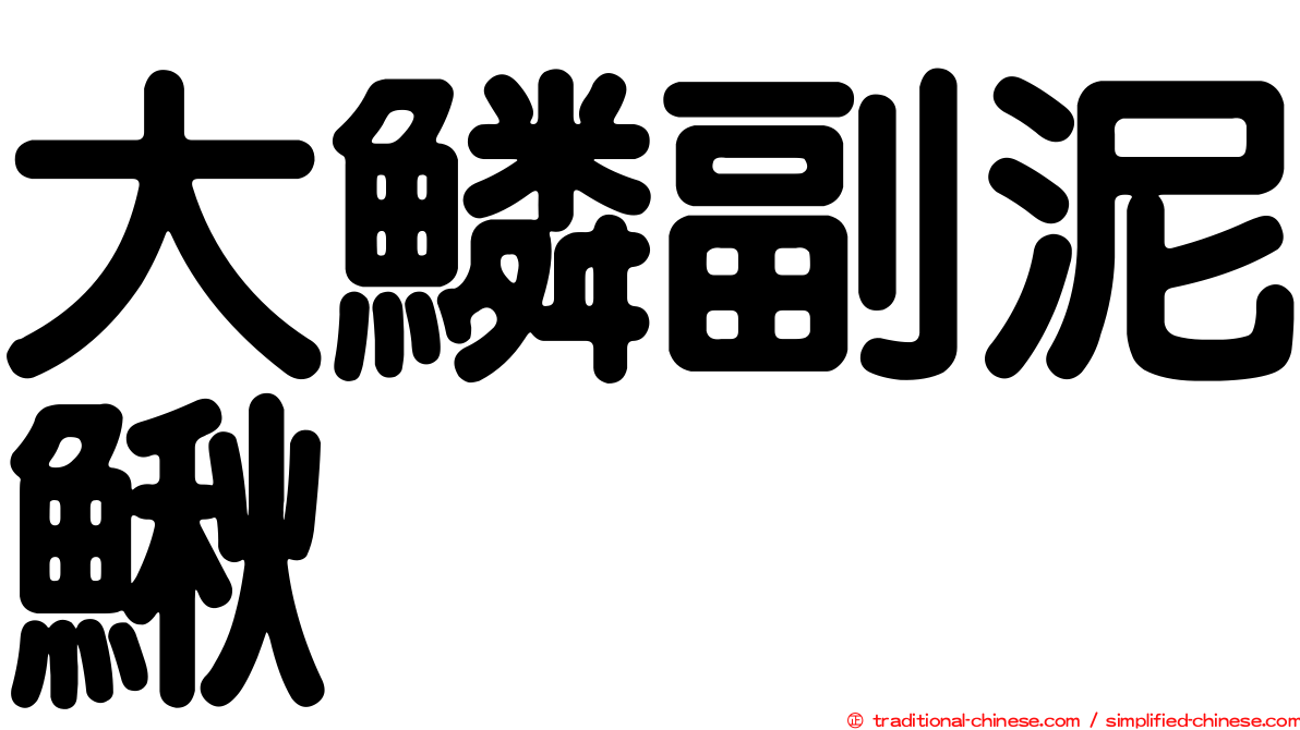 大鱗副泥鰍