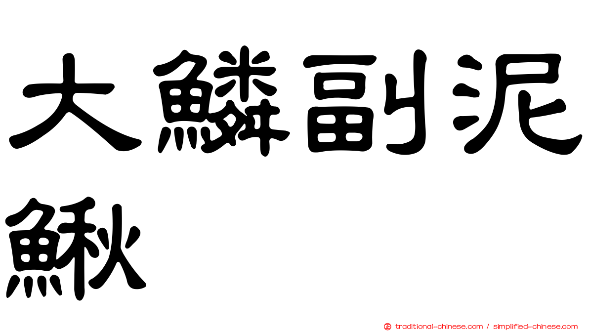 大鱗副泥鰍