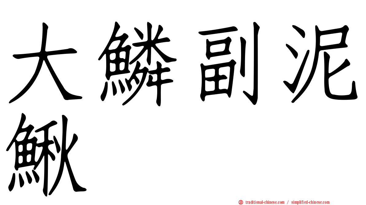 大鱗副泥鰍