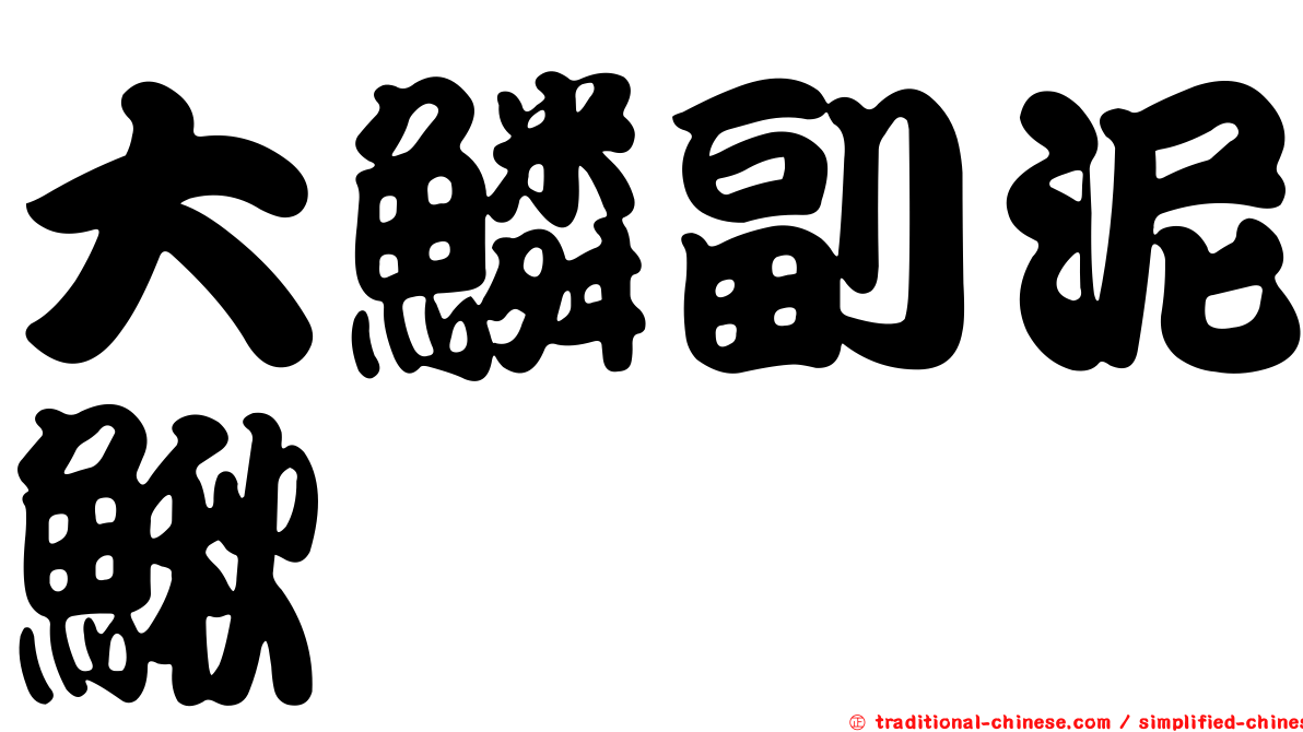 大鱗副泥鰍
