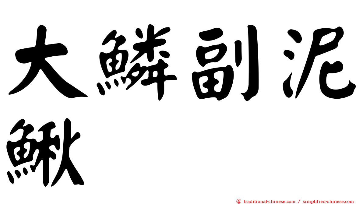 大鱗副泥鰍