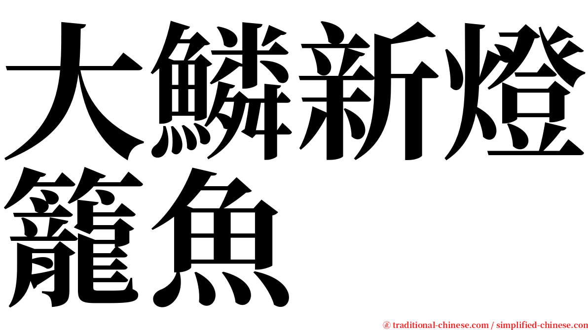 大鱗新燈籠魚 serif font