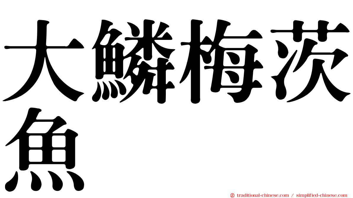 大鱗梅茨魚