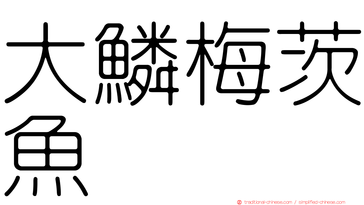 大鱗梅茨魚