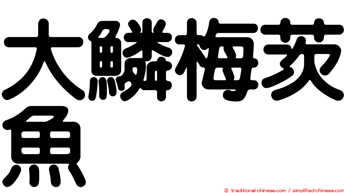 大鱗梅茨魚