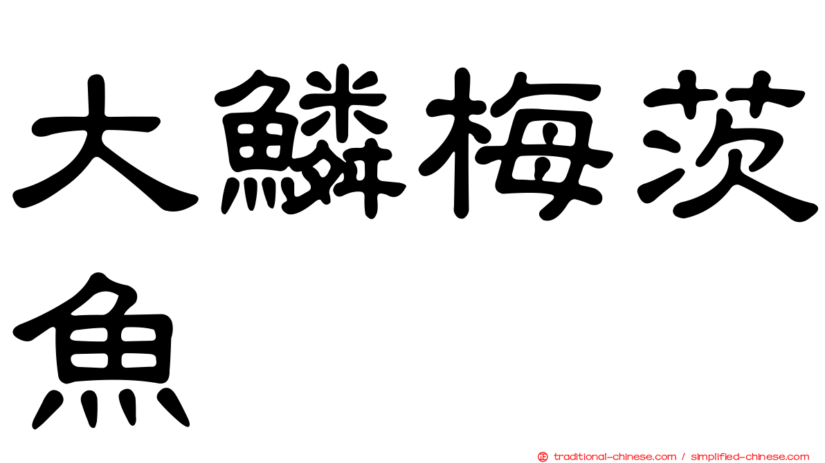 大鱗梅茨魚