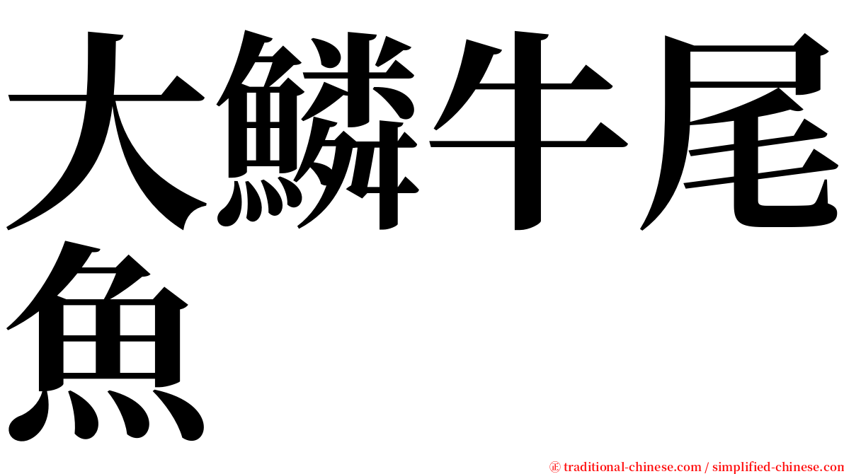 大鱗牛尾魚 serif font