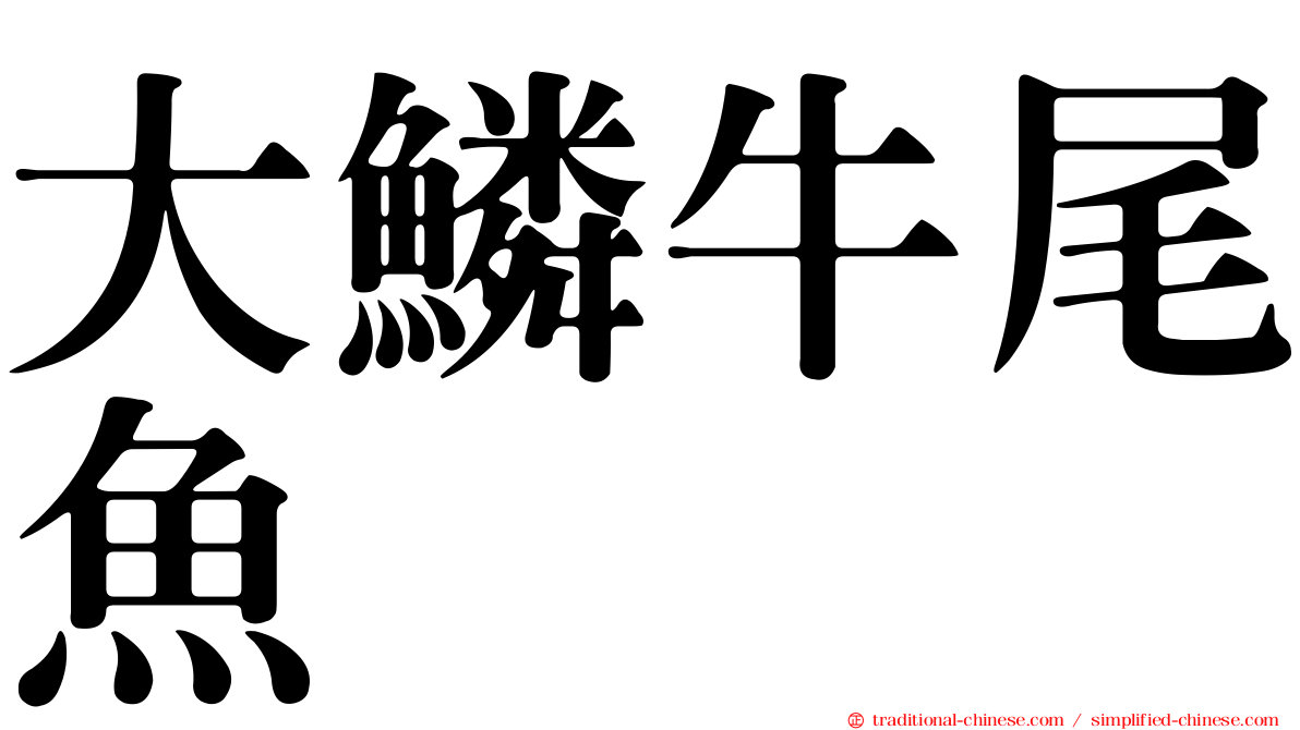 大鱗牛尾魚