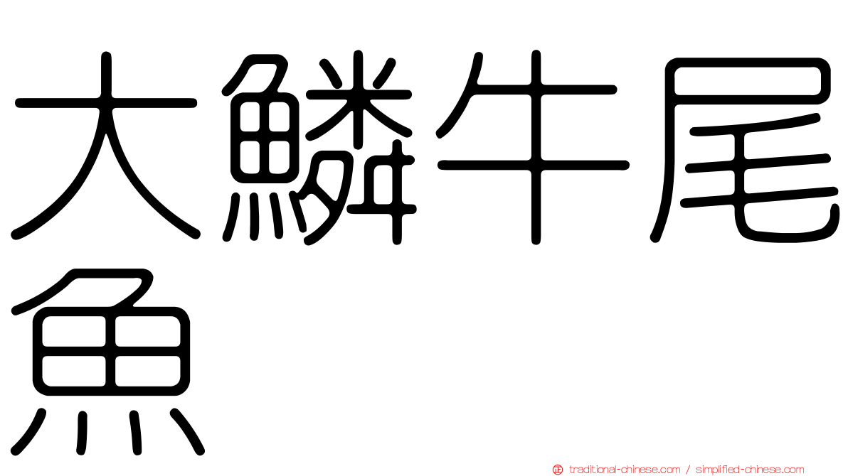 大鱗牛尾魚