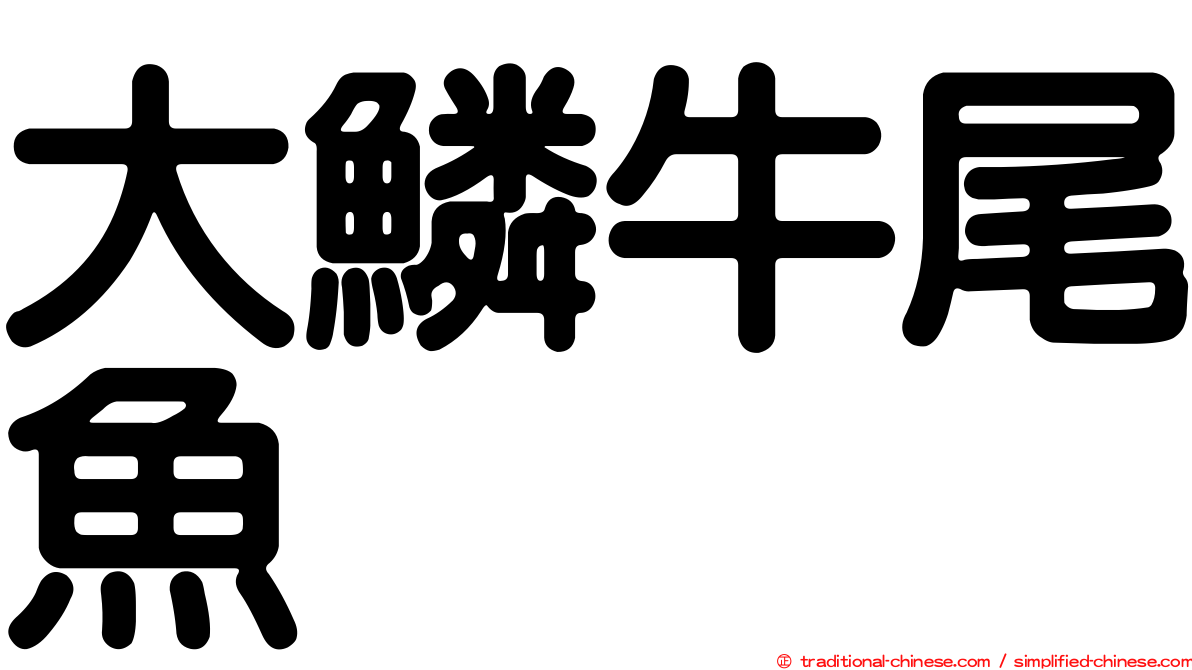 大鱗牛尾魚