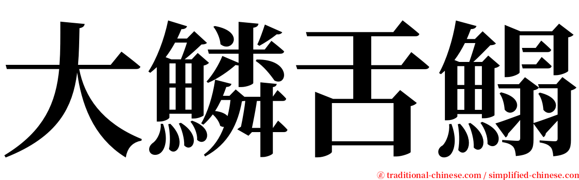 大鱗舌鰨 serif font