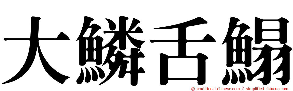 大鱗舌鰨