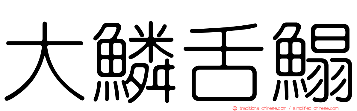 大鱗舌鰨
