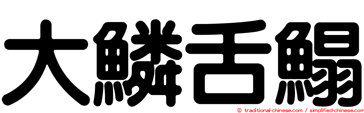 大鱗舌鰨
