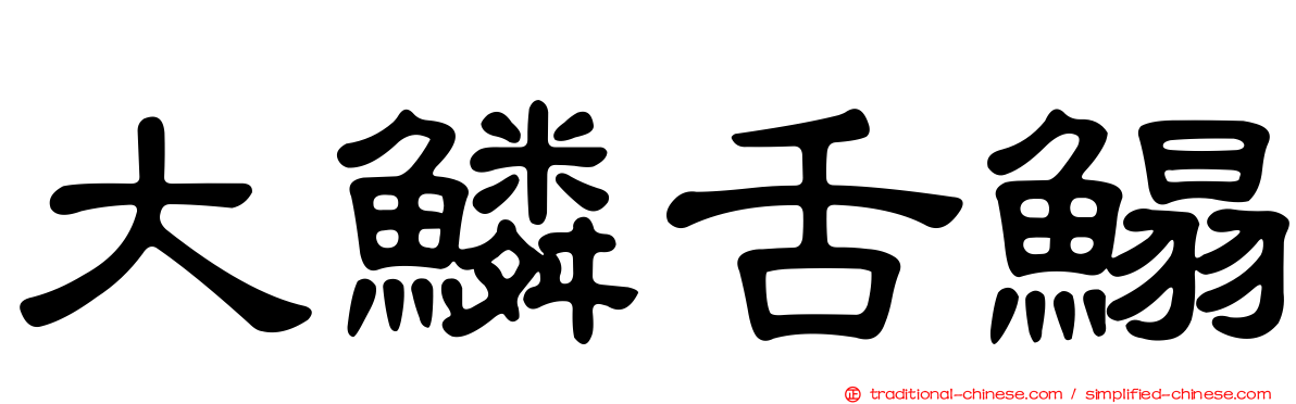 大鱗舌鰨