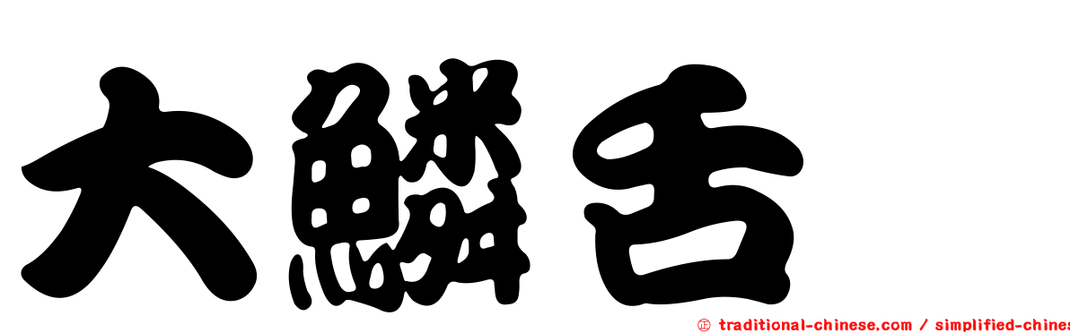 大鱗舌鰨