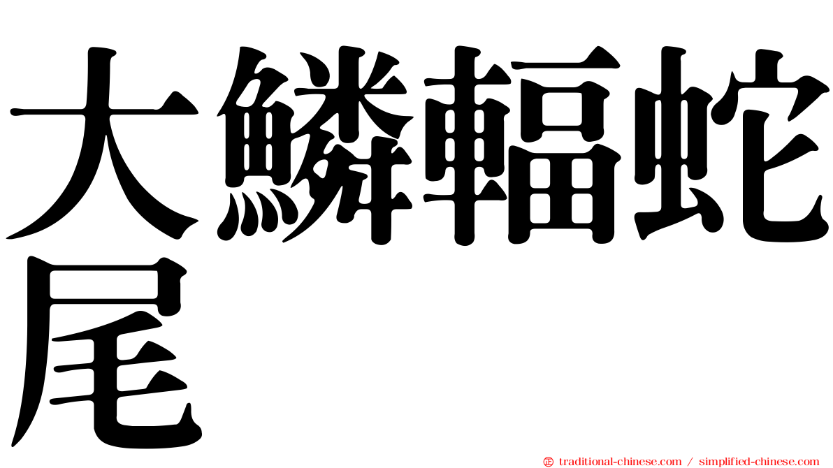 大鱗輻蛇尾