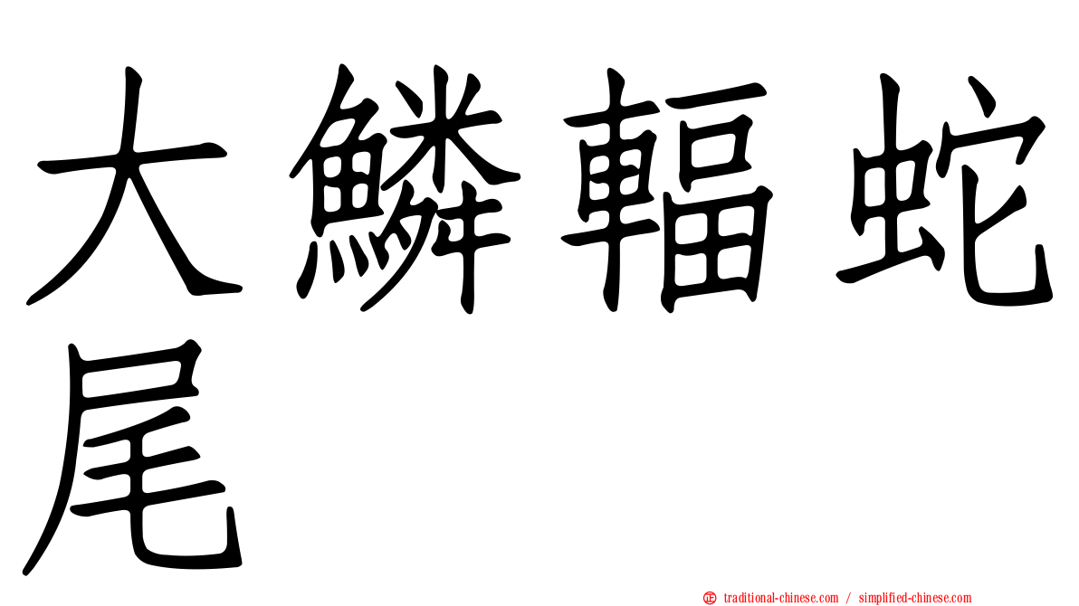 大鱗輻蛇尾