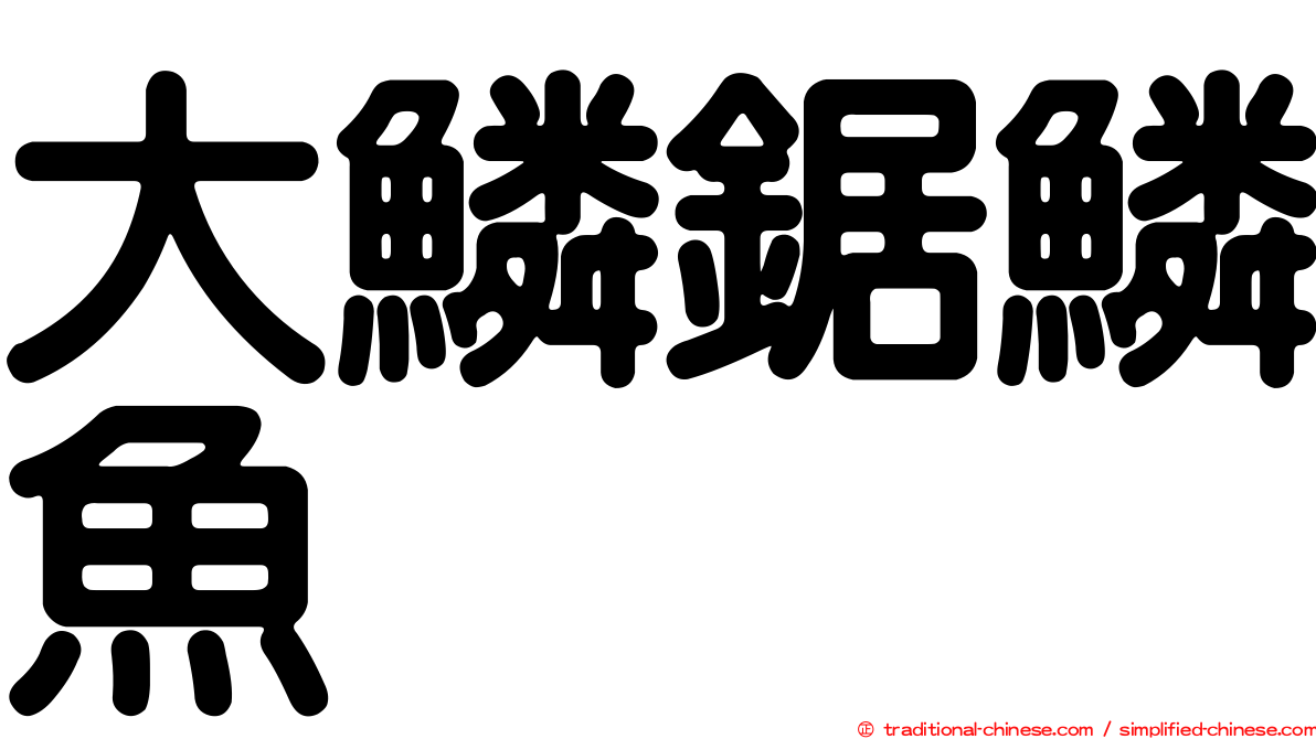 大鱗鋸鱗魚