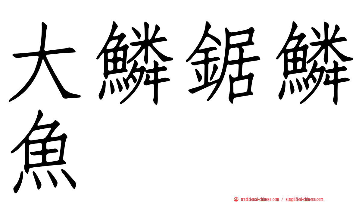 大鱗鋸鱗魚
