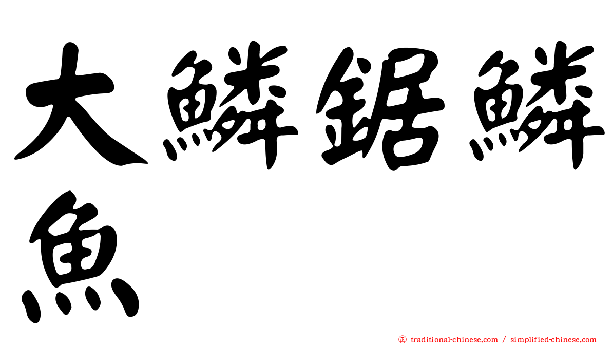 大鱗鋸鱗魚