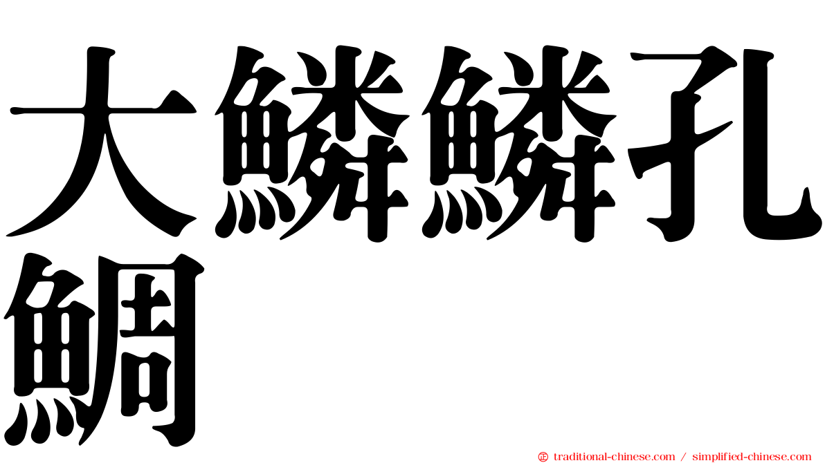 大鱗鱗孔鯛