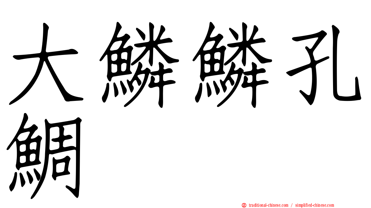 大鱗鱗孔鯛