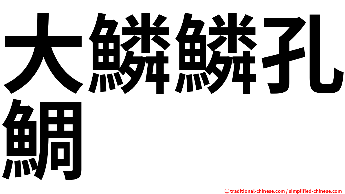 大鱗鱗孔鯛