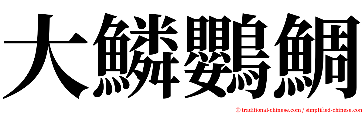 大鱗鸚鯛 serif font