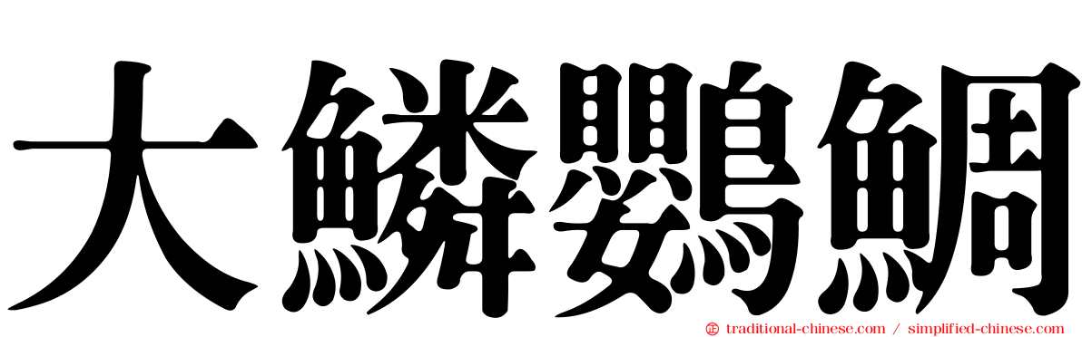 大鱗鸚鯛