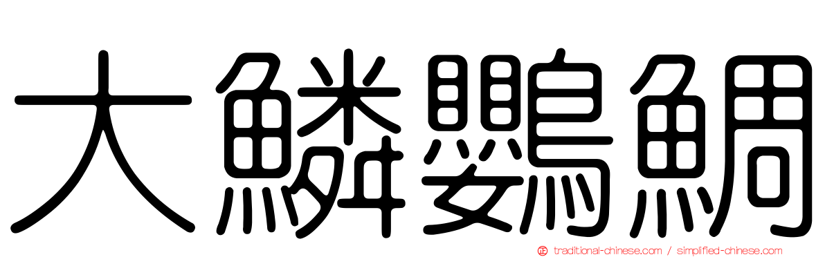 大鱗鸚鯛