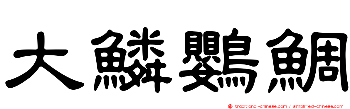 大鱗鸚鯛