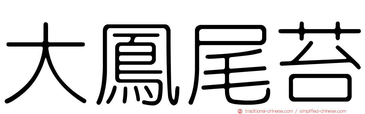 大鳳尾苔