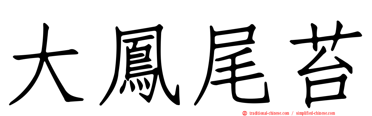 大鳳尾苔